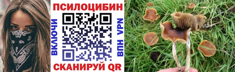 Псилоцибиновые грибы Cubensis  Мамоново 